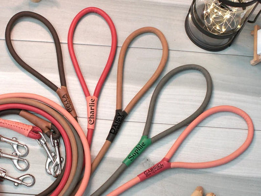 custom pet leashes