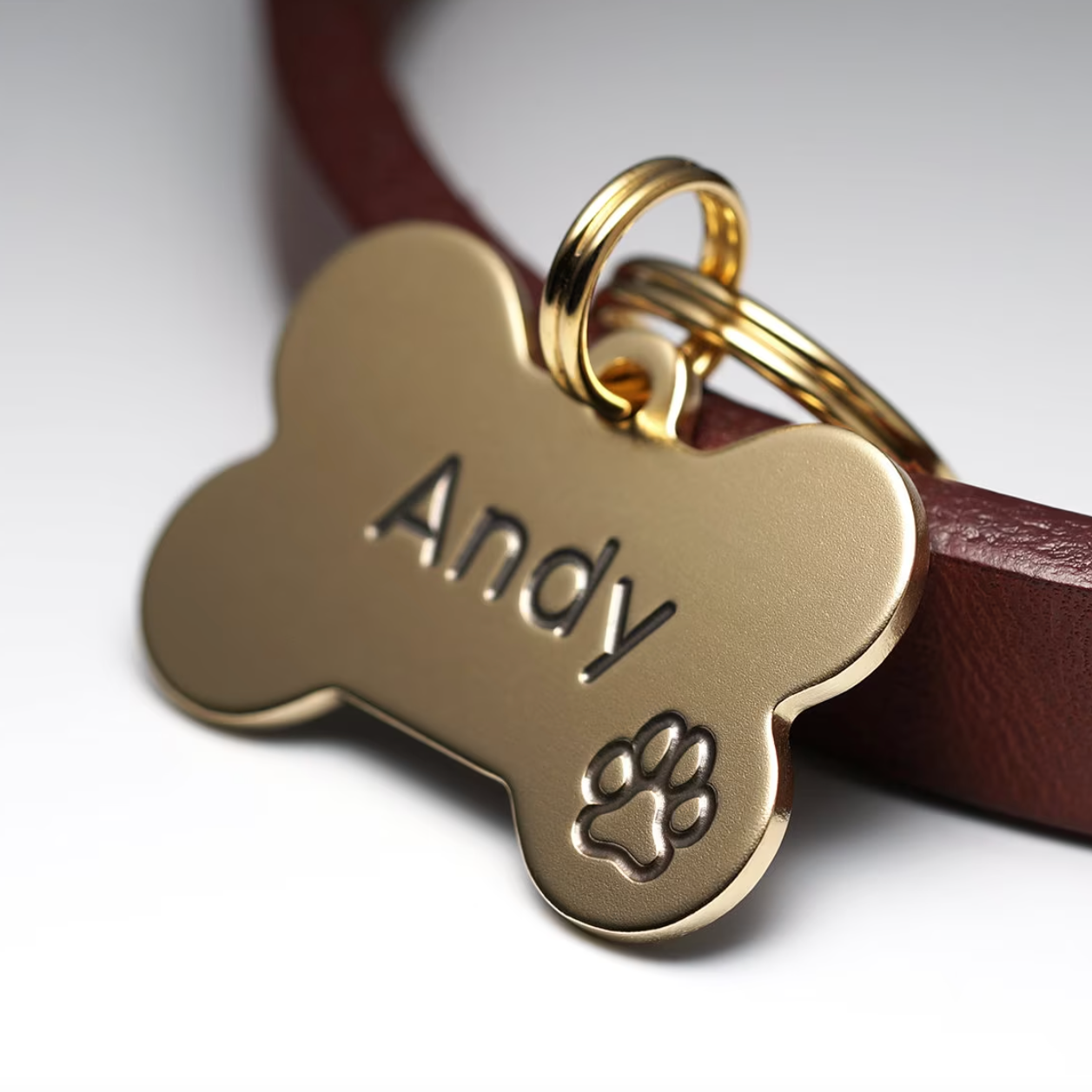 Custom Dog & Cat Collars