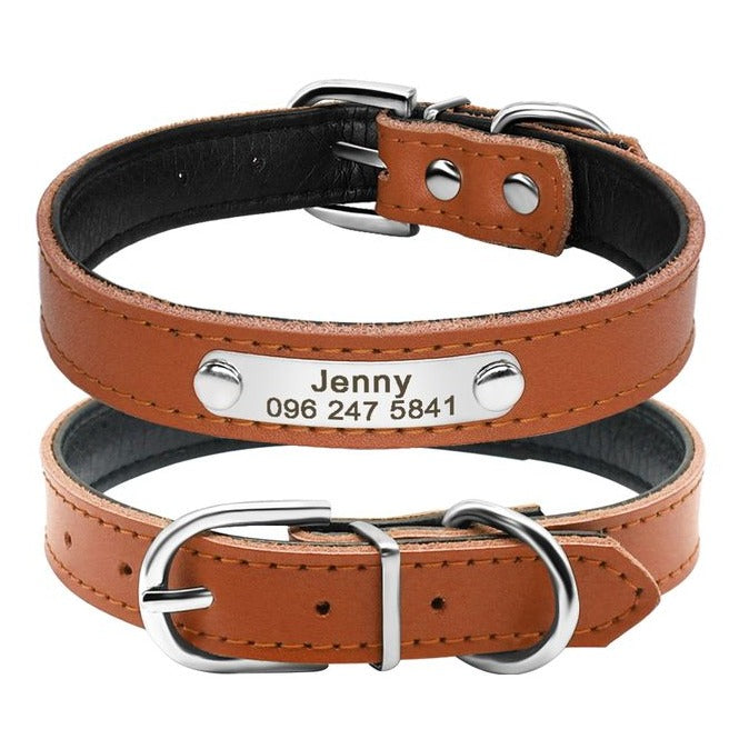 Custom Dog & Cat Collars