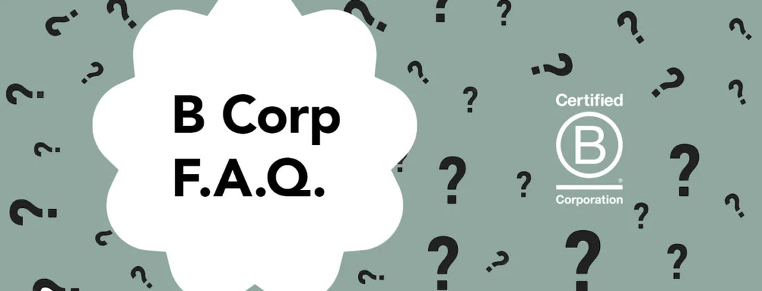 Frequently Asked Questions About B Corps