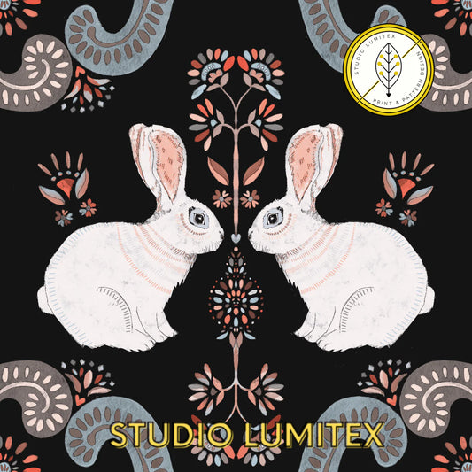 Shikha S "Studio Lumitex" 🇮🇳