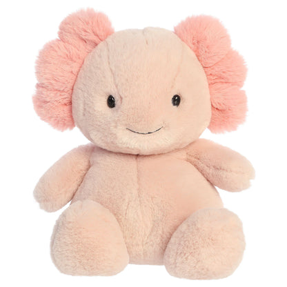 Recenze Aurora World