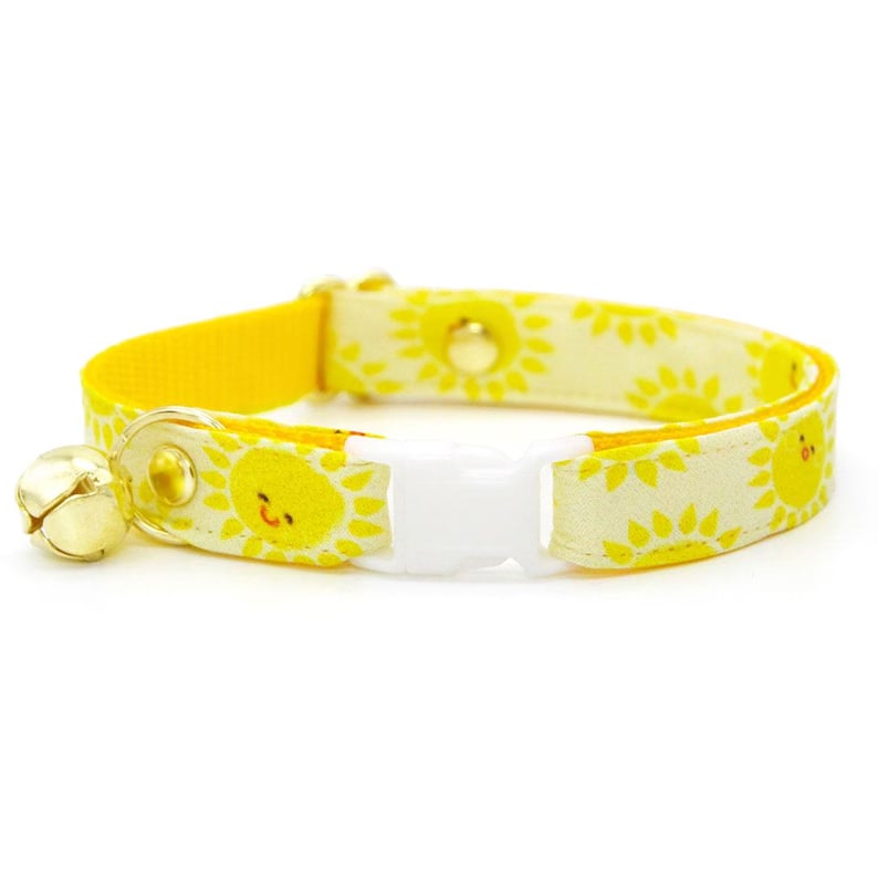 Custom Pet Collars - Yourstuffmade.com
