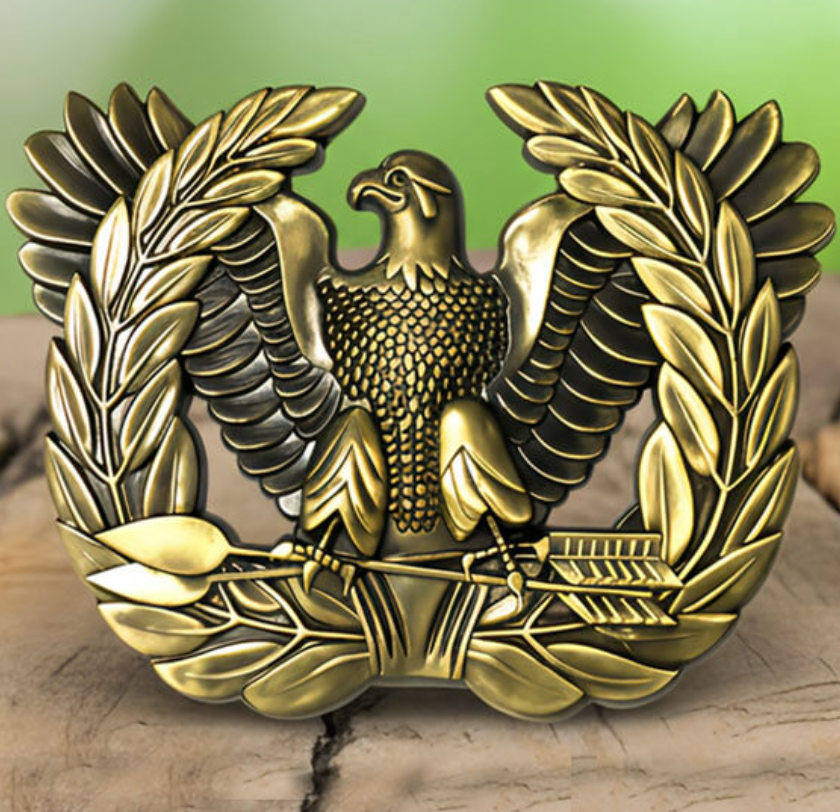 Vivipins Review | Custom Promotional Products & Lapel Pins - Pinlord.com - Manufacturer - Pinlord.com - express cheap ethical custom products